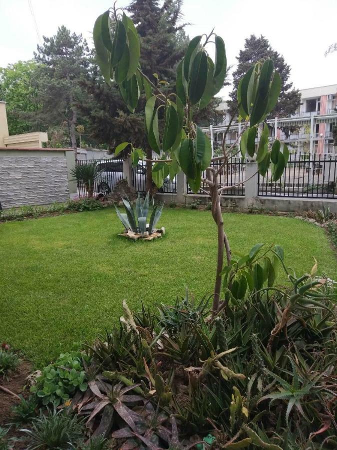 Guest House Alkor Obzor Exterior foto